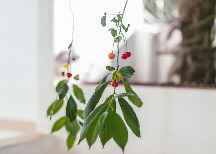 Graca Private Garden Apt, Close To Tram 28, Views & Sao Jorge Castle Διαμέρισμα *