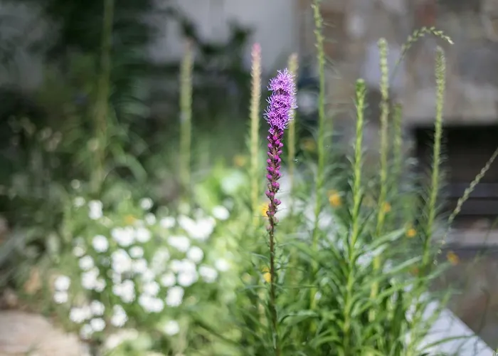 Graca Private Garden Apt, Close To Tram 28, Views & Sao Jorge Castle Lisboa