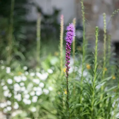 Fragrant Garden Lisbon
