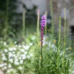 Garden Stays, Close To Tram 28, Views & Sao Jorge Castle Lisboa